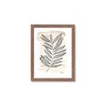 Picture of Antiqued Leaves II _GroupedProduct_Rectangle_Portrait_Framed_Matted_