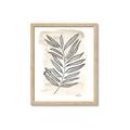 Picture of Antiqued Leaves II _GroupedProduct_Rectangle_Portrait_Framed_Matted_