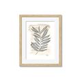 Picture of Antiqued Leaves II _GroupedProduct_Rectangle_Portrait_Framed_Matted_