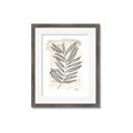 Picture of Antiqued Leaves II _GroupedProduct_Rectangle_Portrait_Framed_Matted_