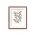 Picture of Antiqued Leaves II _GroupedProduct_Rectangle_Portrait_Framed_Matted_