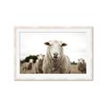 Picture of Sheepily _GroupedProduct_Rectangle_Landscape_Photography _GroupedProduct_Rectangle_Landscape_Framed_Matted_