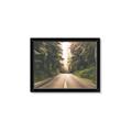 Picture of Foggy Straight Redwood Highway _GroupedProduct_Rectangle_Landscape_Photography _GroupedProduct_Rectangle_Landscape_Framed_Matted_