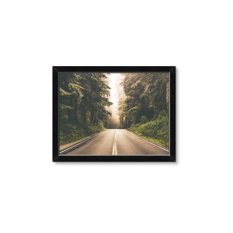 Picture of Foggy Straight Redwood Highway _GroupedProduct_Rectangle_Landscape_Photography _GroupedProduct_Rectangle_Landscape_Framed_Matted_