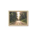 Picture of Foggy Straight Redwood Highway _GroupedProduct_Rectangle_Landscape_Photography _GroupedProduct_Rectangle_Landscape_Framed_Matted_