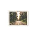 Picture of Foggy Straight Redwood Highway _GroupedProduct_Rectangle_Landscape_Photography _GroupedProduct_Rectangle_Landscape_Framed_Matted_