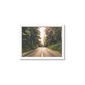 Picture of Foggy Straight Redwood Highway _GroupedProduct_Rectangle_Landscape_Photography _GroupedProduct_Rectangle_Landscape_Framed_Matted_