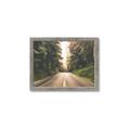 Picture of Foggy Straight Redwood Highway _GroupedProduct_Rectangle_Landscape_Photography _GroupedProduct_Rectangle_Landscape_Framed_Matted_
