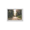 Picture of Foggy Straight Redwood Highway _GroupedProduct_Rectangle_Landscape_Photography _GroupedProduct_Rectangle_Landscape_Framed_Matted_