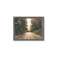 Picture of Foggy Straight Redwood Highway _GroupedProduct_Rectangle_Landscape_Photography _GroupedProduct_Rectangle_Landscape_Framed_Matted_