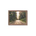 Picture of Foggy Straight Redwood Highway _GroupedProduct_Rectangle_Landscape_Photography _GroupedProduct_Rectangle_Landscape_Framed_Matted_