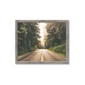 Picture of Foggy Straight Redwood Highway _GroupedProduct_Rectangle_Landscape_Photography _GroupedProduct_Rectangle_Landscape_Framed_Matted_