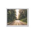 Picture of Foggy Straight Redwood Highway _GroupedProduct_Rectangle_Landscape_Photography _GroupedProduct_Rectangle_Landscape_Framed_Matted_