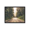 Picture of Foggy Straight Redwood Highway _GroupedProduct_Rectangle_Landscape_Photography _GroupedProduct_Rectangle_Landscape_Framed_Matted_