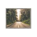 Picture of Foggy Straight Redwood Highway _GroupedProduct_Rectangle_Landscape_Photography _GroupedProduct_Rectangle_Landscape_Framed_Matted_
