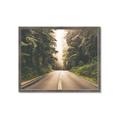 Picture of Foggy Straight Redwood Highway _GroupedProduct_Rectangle_Landscape_Photography _GroupedProduct_Rectangle_Landscape_Framed_Matted_