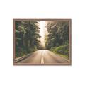 Picture of Foggy Straight Redwood Highway _GroupedProduct_Rectangle_Landscape_Photography _GroupedProduct_Rectangle_Landscape_Framed_Matted_