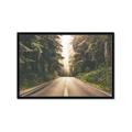 Picture of Foggy Straight Redwood Highway _GroupedProduct_Rectangle_Landscape_Photography _GroupedProduct_Rectangle_Landscape_Framed_Matted_