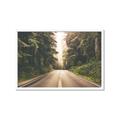 Picture of Foggy Straight Redwood Highway _GroupedProduct_Rectangle_Landscape_Photography _GroupedProduct_Rectangle_Landscape_Framed_Matted_