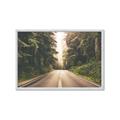 Picture of Foggy Straight Redwood Highway _GroupedProduct_Rectangle_Landscape_Photography _GroupedProduct_Rectangle_Landscape_Framed_Matted_