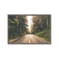 Picture of Foggy Straight Redwood Highway _GroupedProduct_Rectangle_Landscape_Photography _GroupedProduct_Rectangle_Landscape_Framed_Matted_