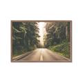 Picture of Foggy Straight Redwood Highway _GroupedProduct_Rectangle_Landscape_Photography _GroupedProduct_Rectangle_Landscape_Framed_Matted_