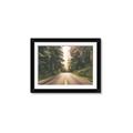 Picture of Foggy Straight Redwood Highway _GroupedProduct_Rectangle_Landscape_Photography _GroupedProduct_Rectangle_Landscape_Framed_Matted_