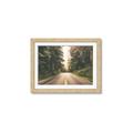 Picture of Foggy Straight Redwood Highway _GroupedProduct_Rectangle_Landscape_Photography _GroupedProduct_Rectangle_Landscape_Framed_Matted_