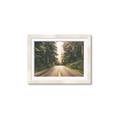 Picture of Foggy Straight Redwood Highway _GroupedProduct_Rectangle_Landscape_Photography _GroupedProduct_Rectangle_Landscape_Framed_Matted_