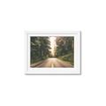 Picture of Foggy Straight Redwood Highway _GroupedProduct_Rectangle_Landscape_Photography _GroupedProduct_Rectangle_Landscape_Framed_Matted_