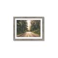 Picture of Foggy Straight Redwood Highway _GroupedProduct_Rectangle_Landscape_Photography _GroupedProduct_Rectangle_Landscape_Framed_Matted_