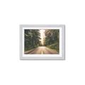Picture of Foggy Straight Redwood Highway _GroupedProduct_Rectangle_Landscape_Photography _GroupedProduct_Rectangle_Landscape_Framed_Matted_