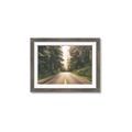 Picture of Foggy Straight Redwood Highway _GroupedProduct_Rectangle_Landscape_Photography _GroupedProduct_Rectangle_Landscape_Framed_Matted_