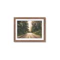 Picture of Foggy Straight Redwood Highway _GroupedProduct_Rectangle_Landscape_Photography _GroupedProduct_Rectangle_Landscape_Framed_Matted_