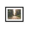 Picture of Foggy Straight Redwood Highway _GroupedProduct_Rectangle_Landscape_Photography _GroupedProduct_Rectangle_Landscape_Framed_Matted_