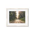 Picture of Foggy Straight Redwood Highway _GroupedProduct_Rectangle_Landscape_Photography _GroupedProduct_Rectangle_Landscape_Framed_Matted_