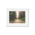 Picture of Foggy Straight Redwood Highway _GroupedProduct_Rectangle_Landscape_Photography _GroupedProduct_Rectangle_Landscape_Framed_Matted_