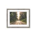 Picture of Foggy Straight Redwood Highway _GroupedProduct_Rectangle_Landscape_Photography _GroupedProduct_Rectangle_Landscape_Framed_Matted_