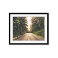 Picture of Foggy Straight Redwood Highway _GroupedProduct_Rectangle_Landscape_Photography _GroupedProduct_Rectangle_Landscape_Framed_Matted_