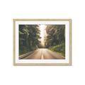Picture of Foggy Straight Redwood Highway _GroupedProduct_Rectangle_Landscape_Photography _GroupedProduct_Rectangle_Landscape_Framed_Matted_
