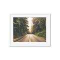 Picture of Foggy Straight Redwood Highway _GroupedProduct_Rectangle_Landscape_Photography _GroupedProduct_Rectangle_Landscape_Framed_Matted_