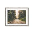Picture of Foggy Straight Redwood Highway _GroupedProduct_Rectangle_Landscape_Photography _GroupedProduct_Rectangle_Landscape_Framed_Matted_