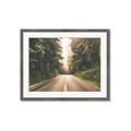 Picture of Foggy Straight Redwood Highway _GroupedProduct_Rectangle_Landscape_Photography _GroupedProduct_Rectangle_Landscape_Framed_Matted_