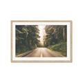 Picture of Foggy Straight Redwood Highway _GroupedProduct_Rectangle_Landscape_Photography _GroupedProduct_Rectangle_Landscape_Framed_Matted_