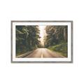 Picture of Foggy Straight Redwood Highway _GroupedProduct_Rectangle_Landscape_Photography _GroupedProduct_Rectangle_Landscape_Framed_Matted_