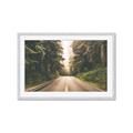 Picture of Foggy Straight Redwood Highway _GroupedProduct_Rectangle_Landscape_Photography _GroupedProduct_Rectangle_Landscape_Framed_Matted_