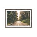 Picture of Foggy Straight Redwood Highway _GroupedProduct_Rectangle_Landscape_Photography _GroupedProduct_Rectangle_Landscape_Framed_Matted_