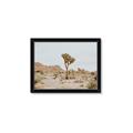 Picture of Dessert Tree _GroupedProduct_Rectangle_Landscape_Photography _GroupedProduct_Rectangle_Landscape_Framed_Matted_