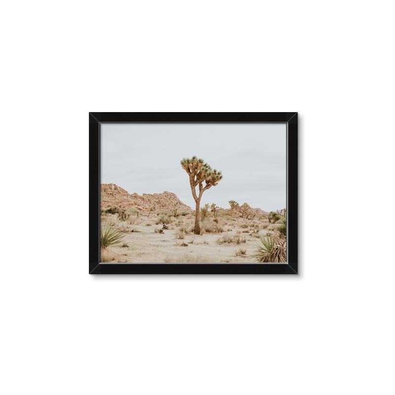 Picture of Dessert Tree _GroupedProduct_Rectangle_Landscape_Photography _GroupedProduct_Rectangle_Landscape_Framed_Matted_