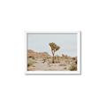 Picture of Dessert Tree _GroupedProduct_Rectangle_Landscape_Photography _GroupedProduct_Rectangle_Landscape_Framed_Matted_